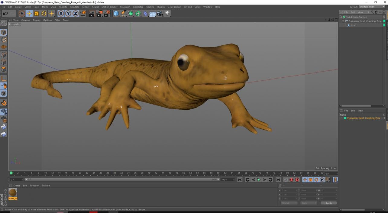 European Newt Crawling Pose 3D