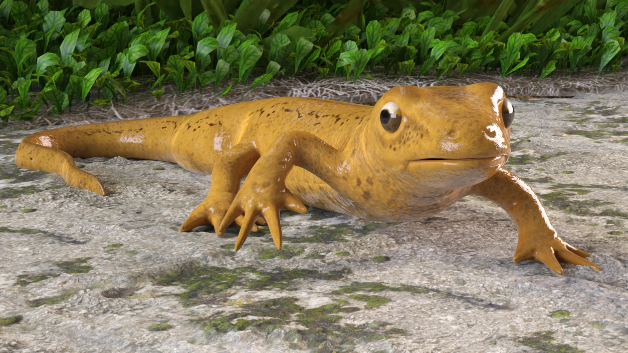 European Newt Crawling Pose 3D