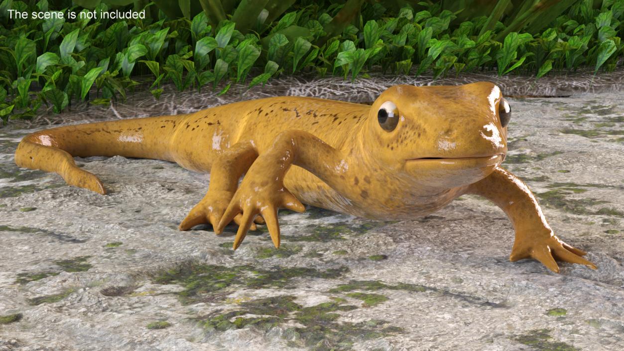 European Newt Crawling Pose 3D