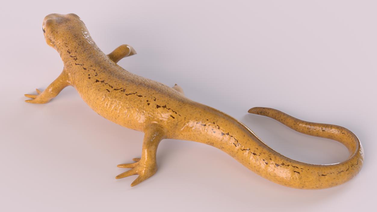 European Newt Crawling Pose 3D