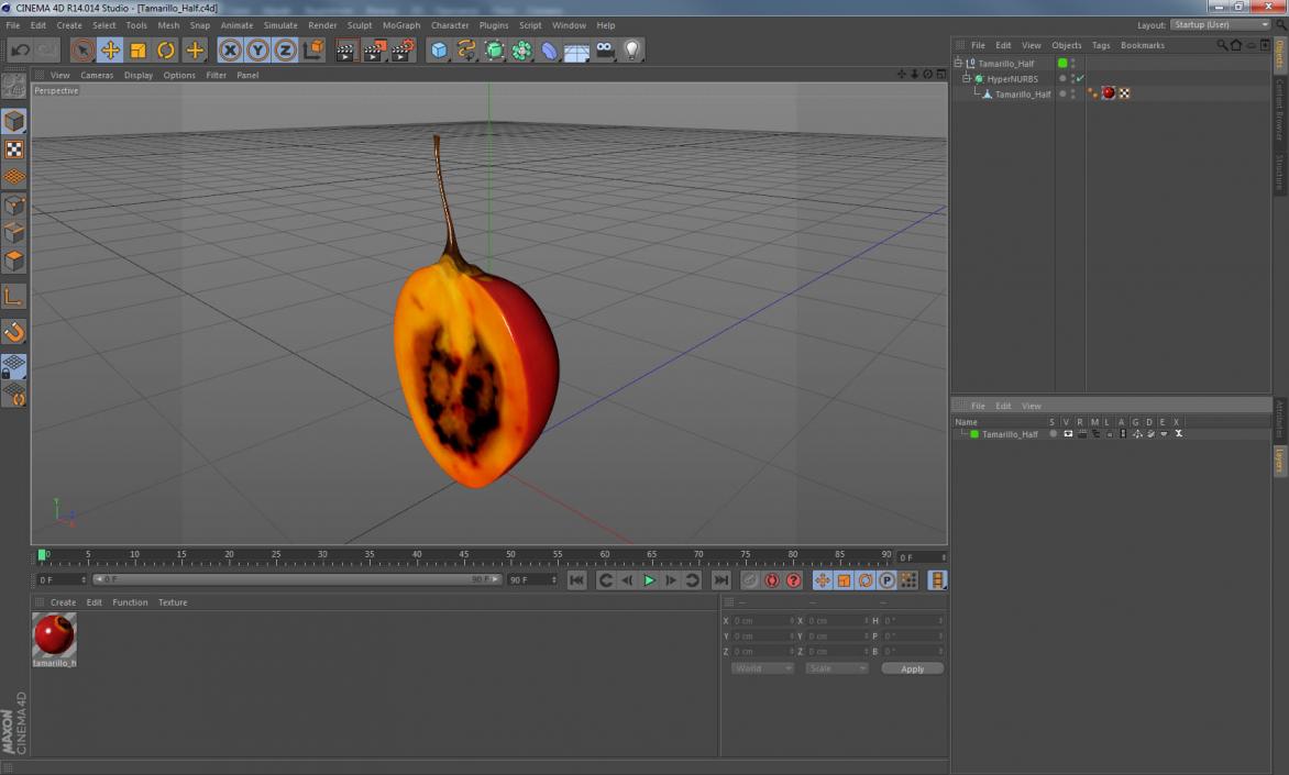 Tamarillo Half 3D model