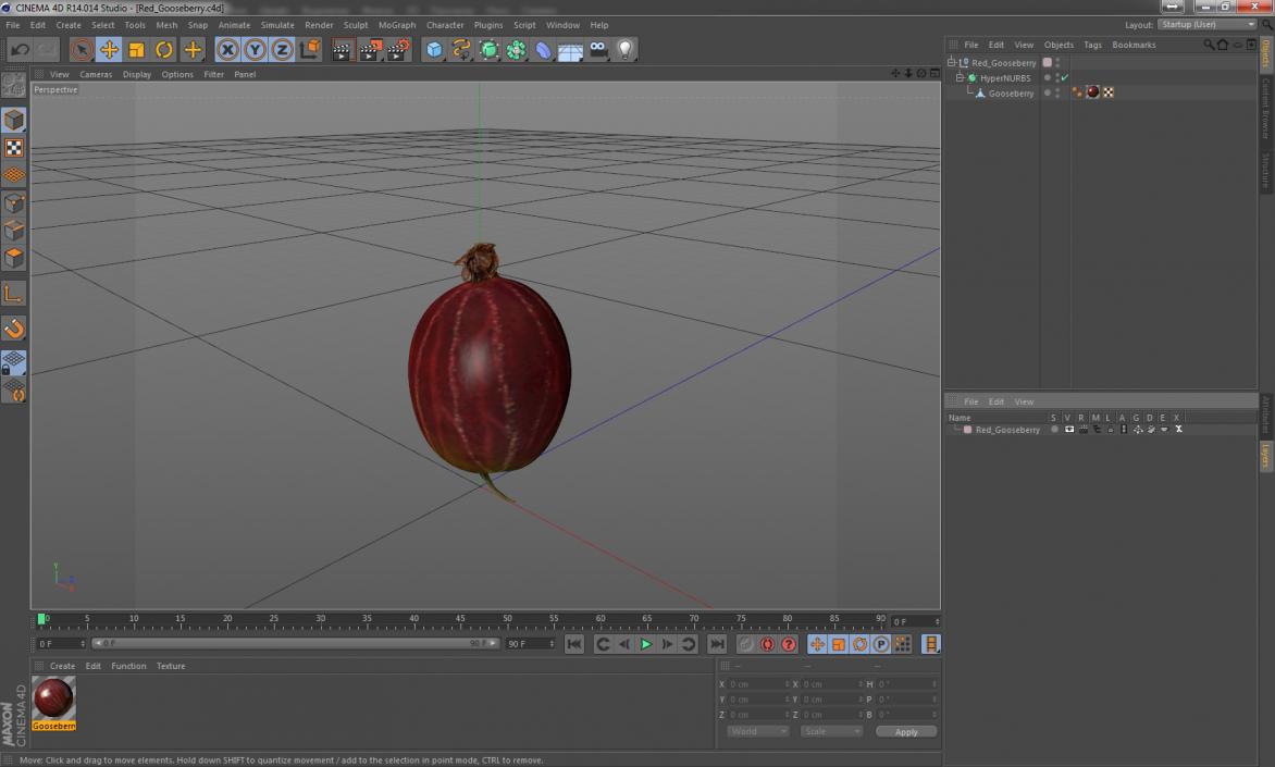 Red Gooseberry 3D model