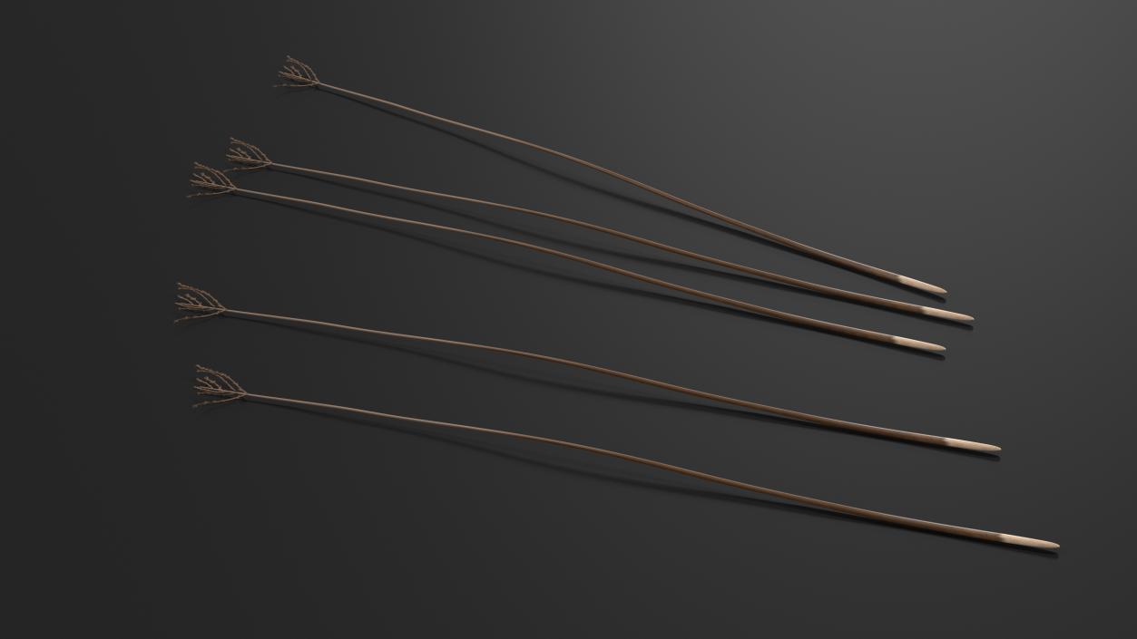 3D model Naked Feather 2