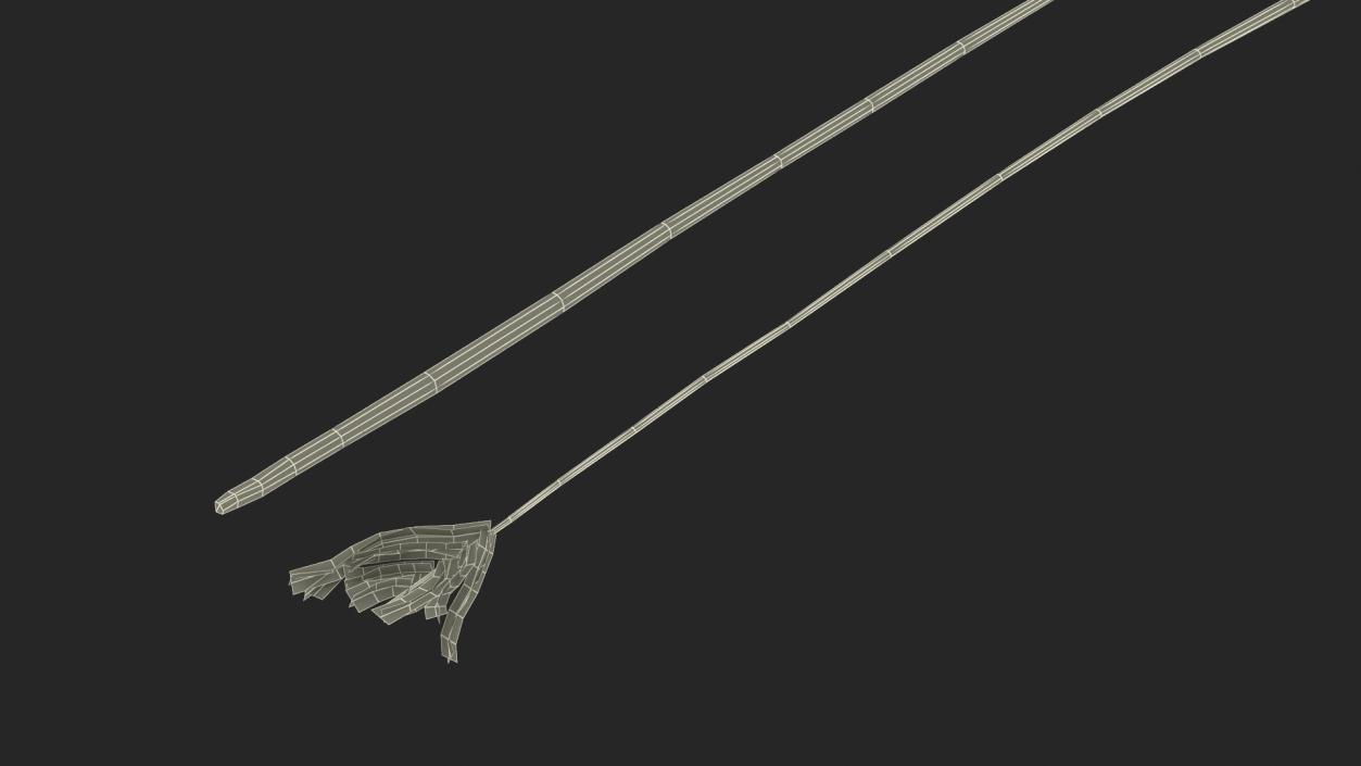 3D model Naked Feather 2