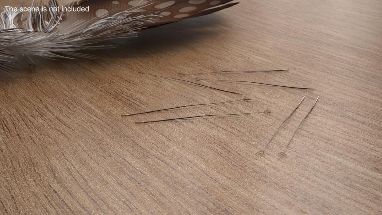 3D model Naked Feather 2