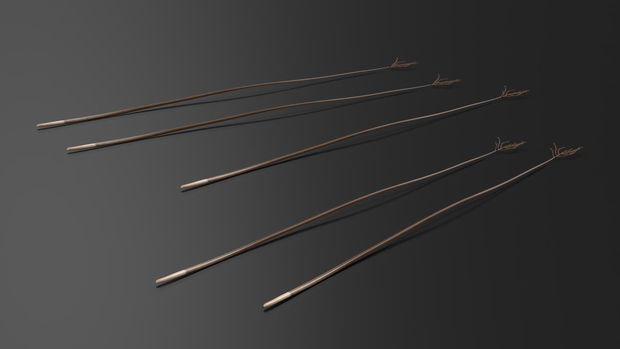 3D model Naked Feather 2