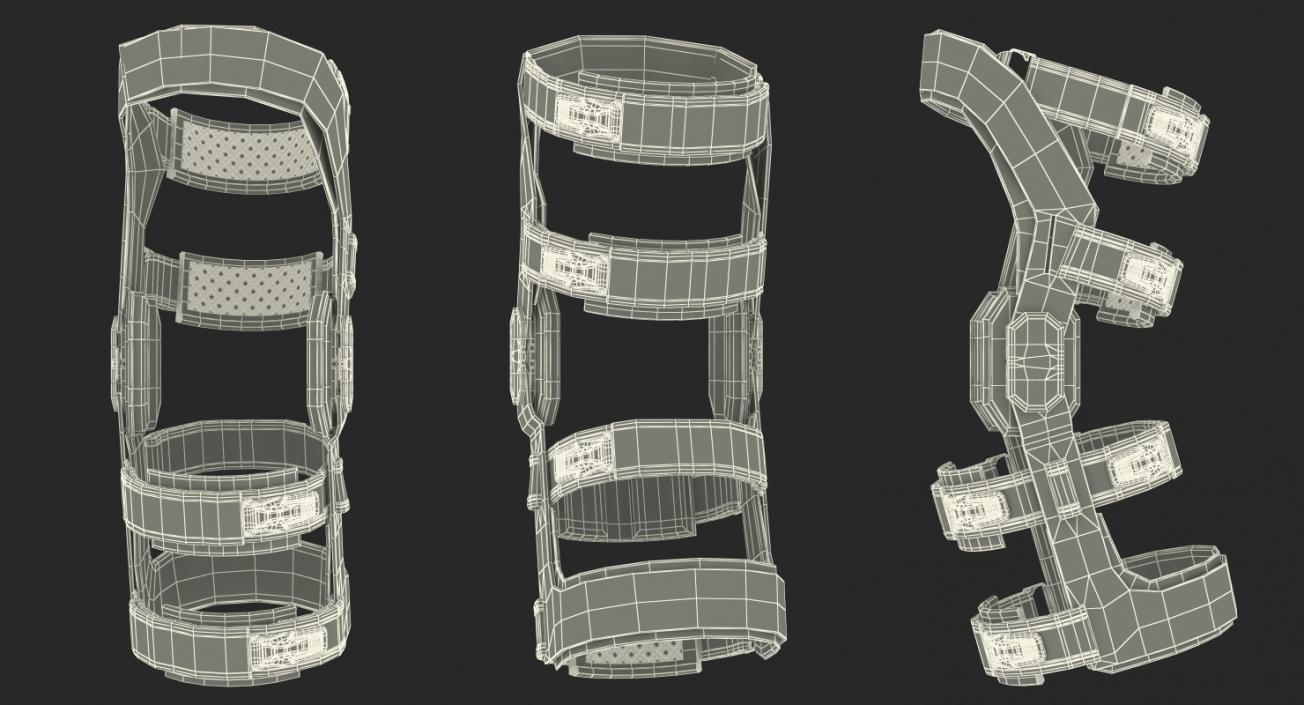 Renegade Knee Brace 3D model