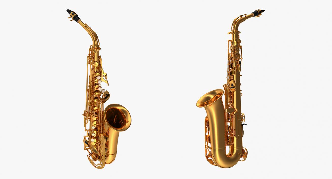 Wind Instruments Collection 3 3D model