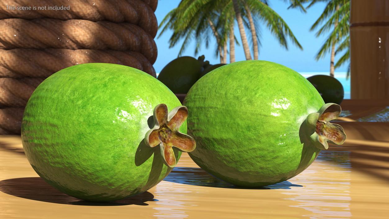 3D model Fruits Collection 10