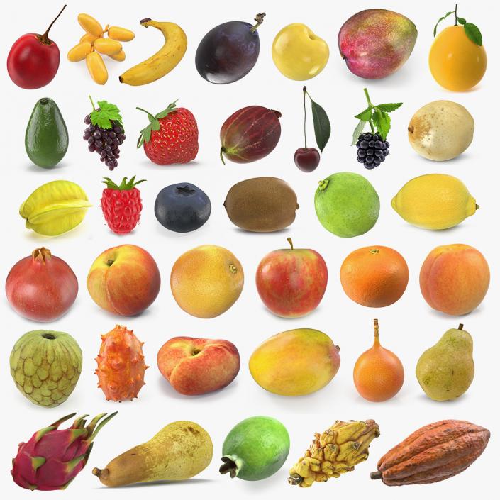 3D model Fruits Collection 10