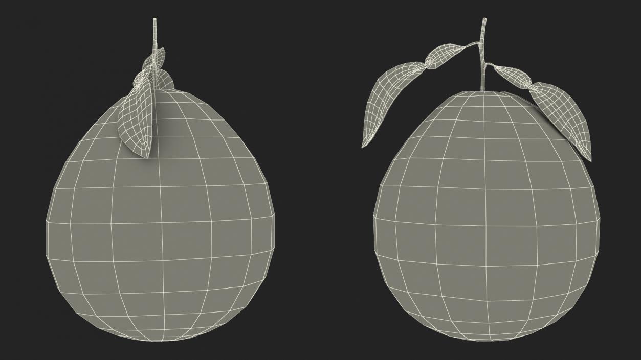 3D model Fruits Collection 10