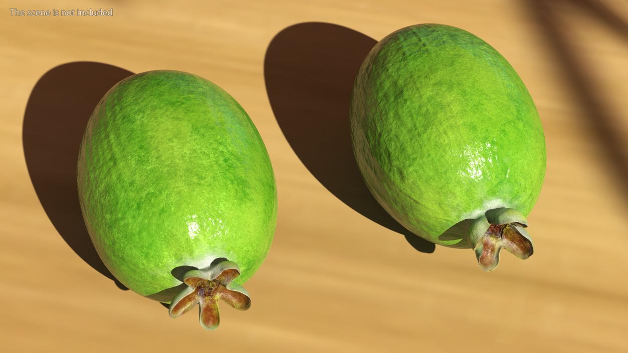 3D model Fruits Collection 10