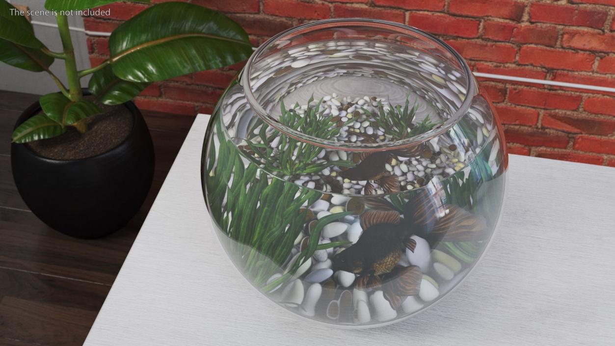 3D Round Aquariums with Fishes Collection model