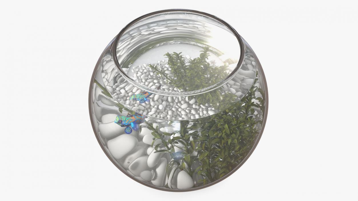 3D Round Aquariums with Fishes Collection model