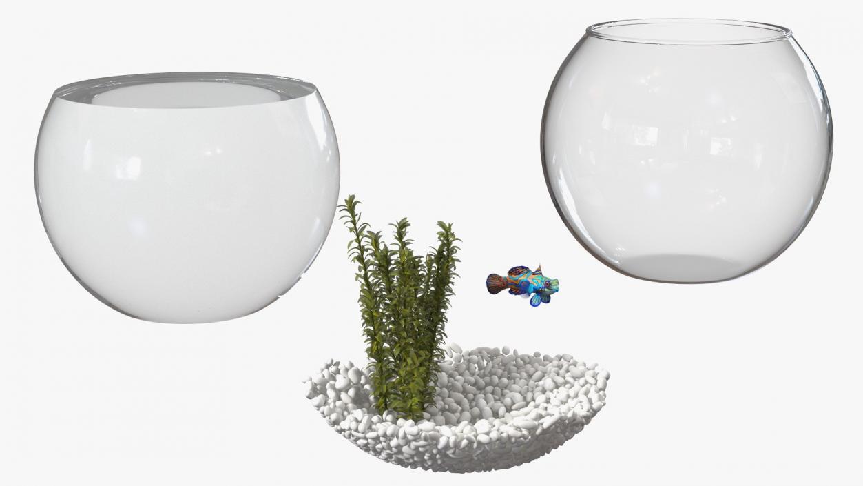 3D Round Aquariums with Fishes Collection model