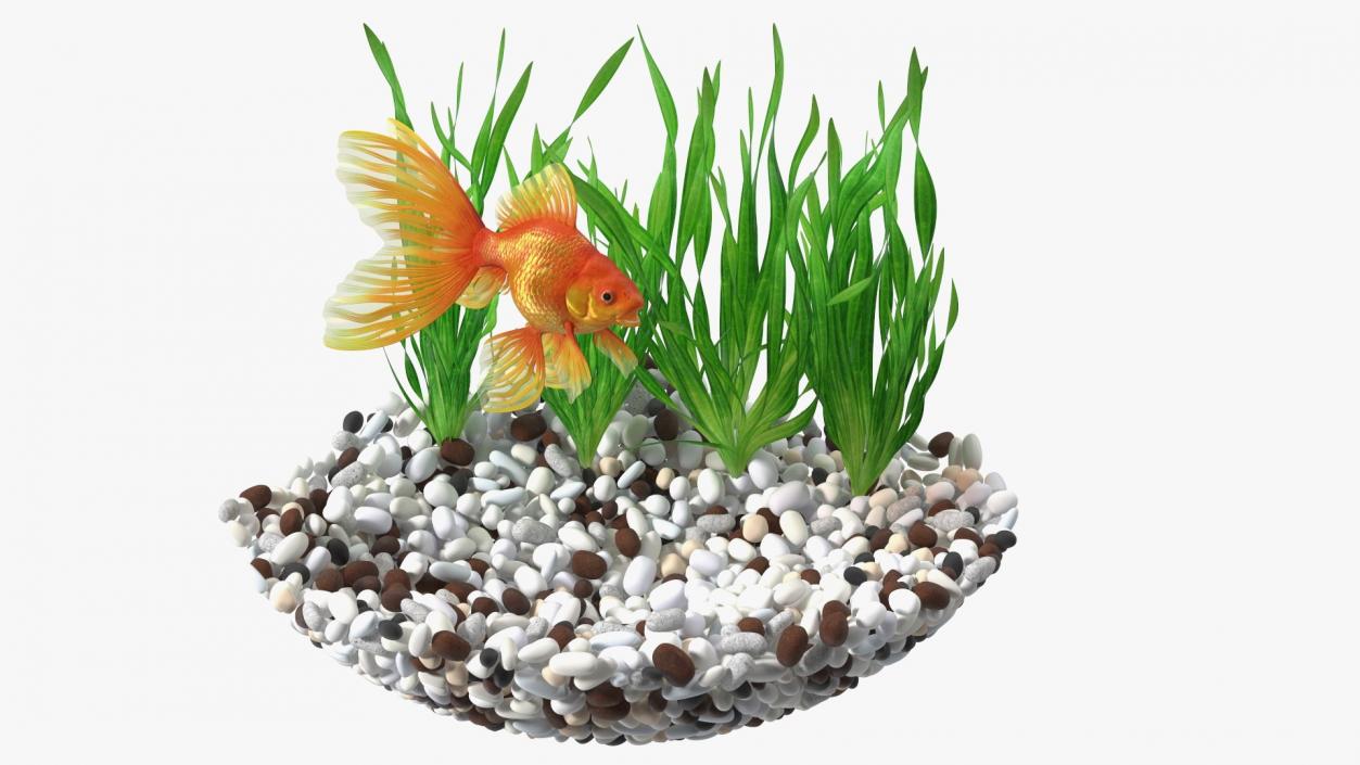 3D Round Aquariums with Fishes Collection model