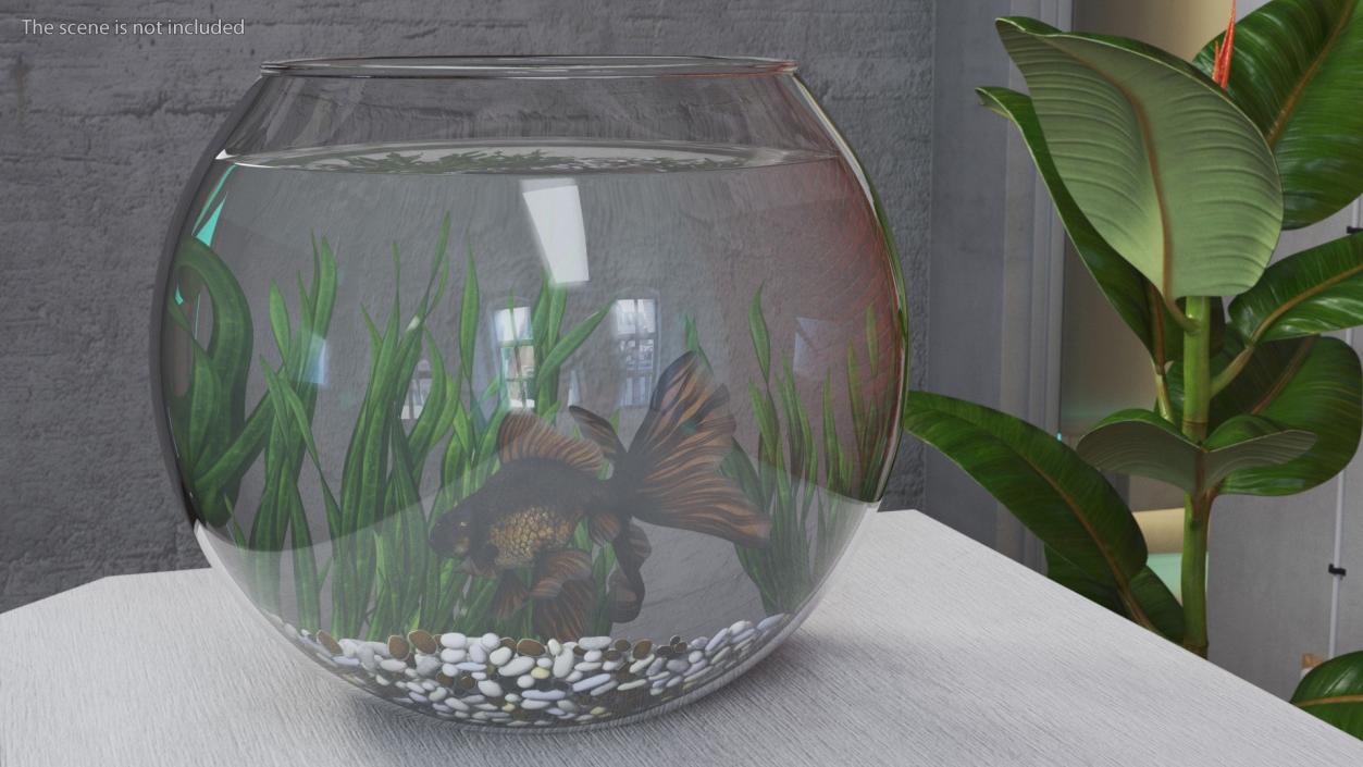 3D Round Aquariums with Fishes Collection model