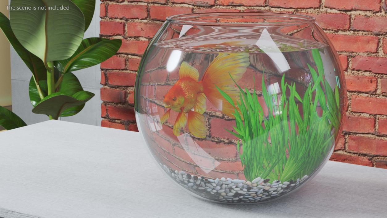 3D Round Aquariums with Fishes Collection model