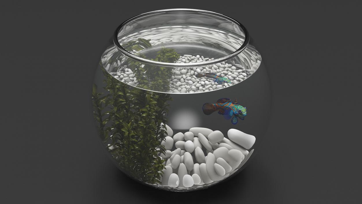 3D Round Aquariums with Fishes Collection model