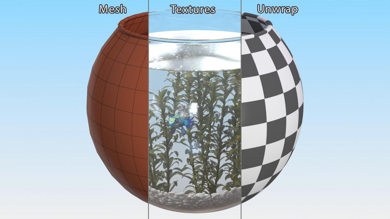 3D Round Aquariums with Fishes Collection model