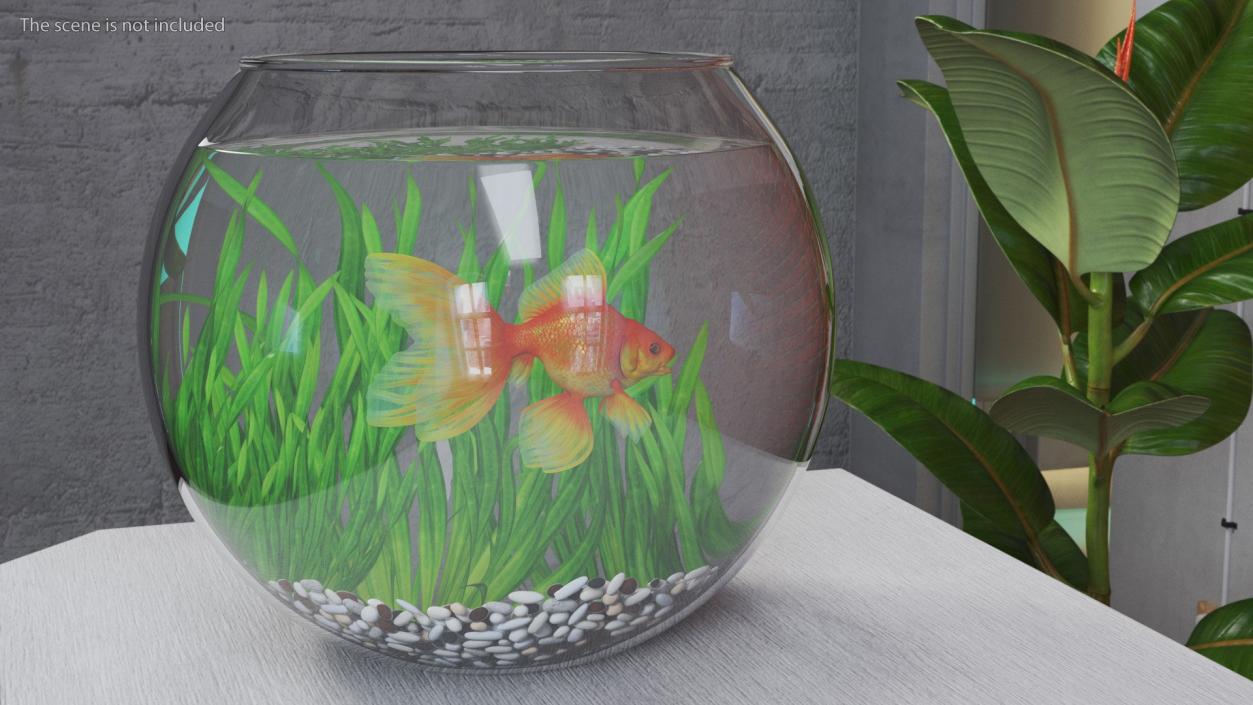 3D Round Aquariums with Fishes Collection model