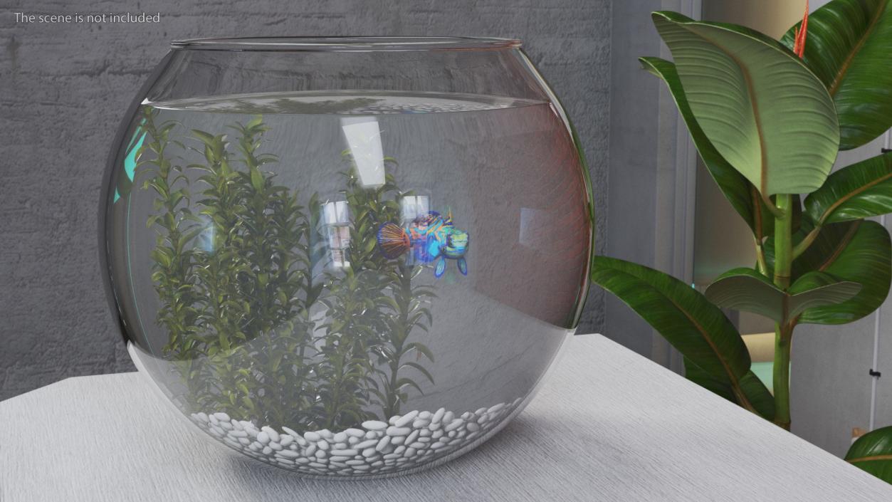 3D Round Aquariums with Fishes Collection model