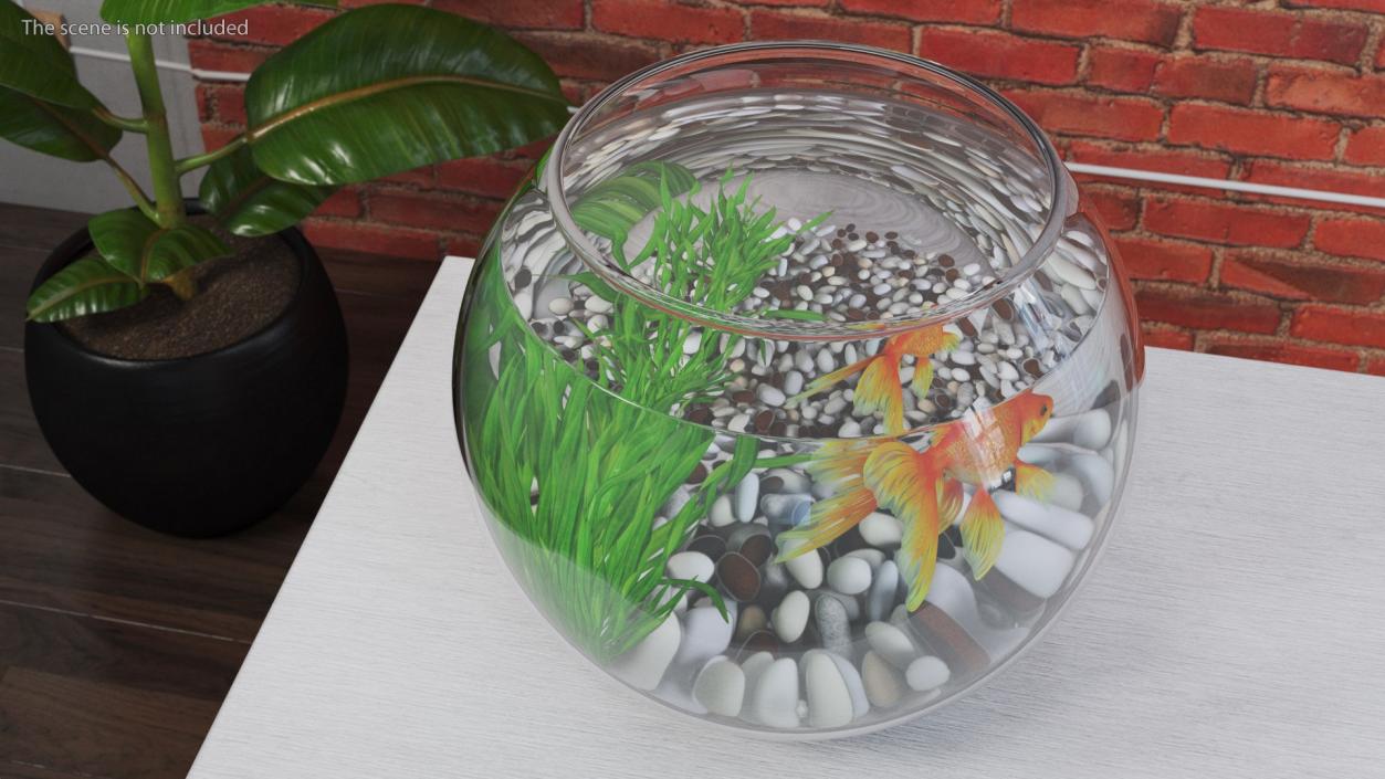 3D Round Aquariums with Fishes Collection model