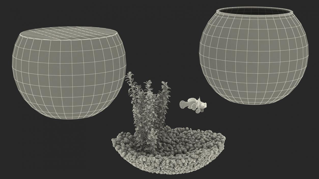 3D Round Aquariums with Fishes Collection model