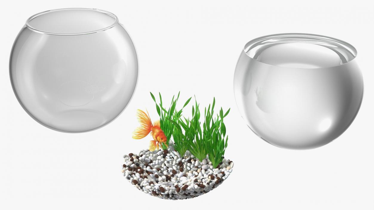 3D Round Aquariums with Fishes Collection model