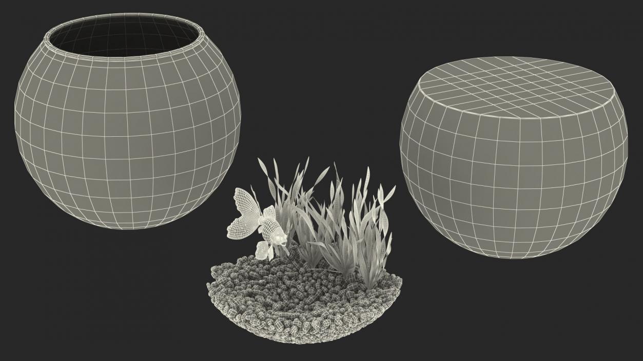 3D Round Aquariums with Fishes Collection model