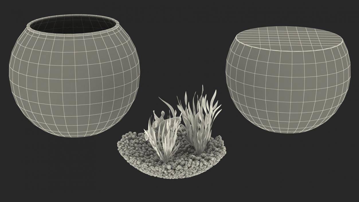 3D Round Aquariums with Fishes Collection model