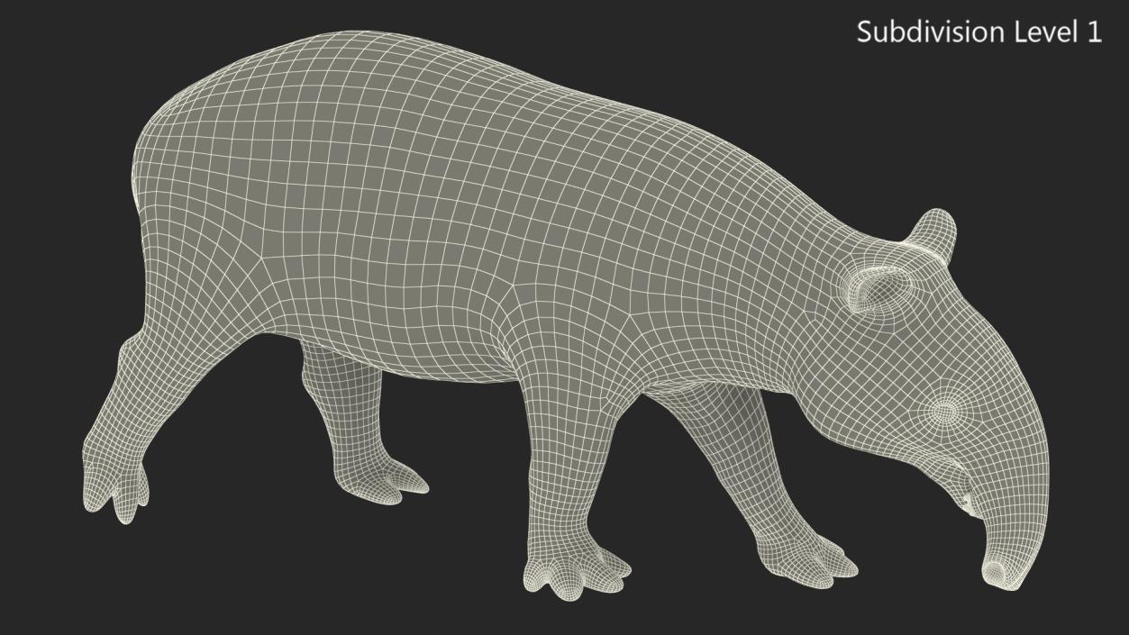 3D Tapir Walking Pose model