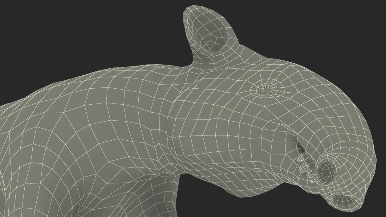 3D Tapir Walking Pose model