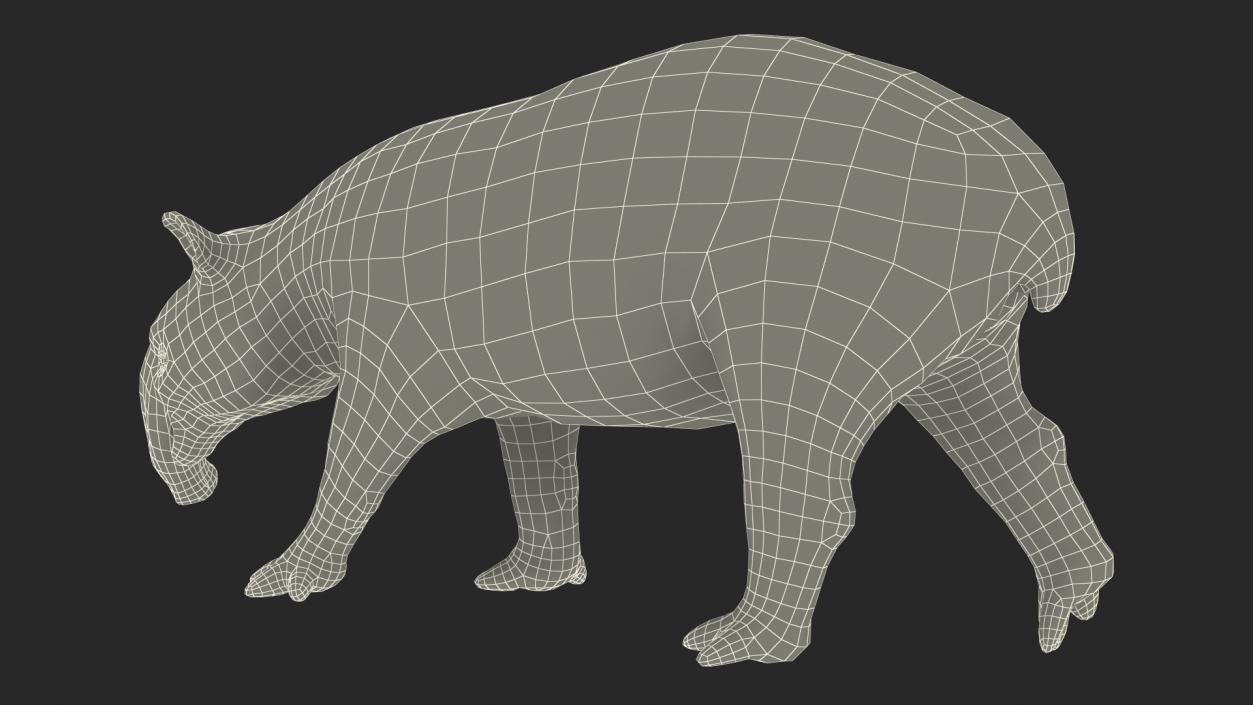 3D Tapir Walking Pose model