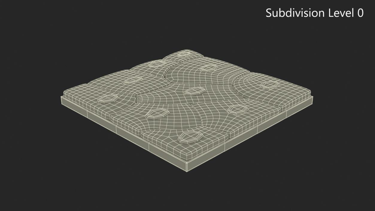 Squamous Epithelium 3D model