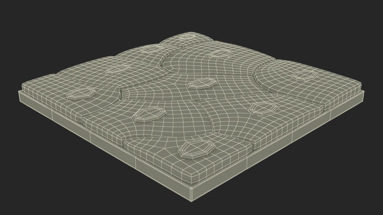 Squamous Epithelium 3D model