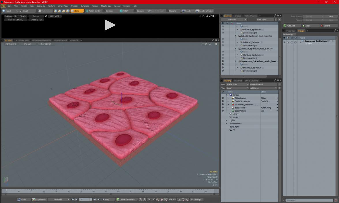 Squamous Epithelium 3D model