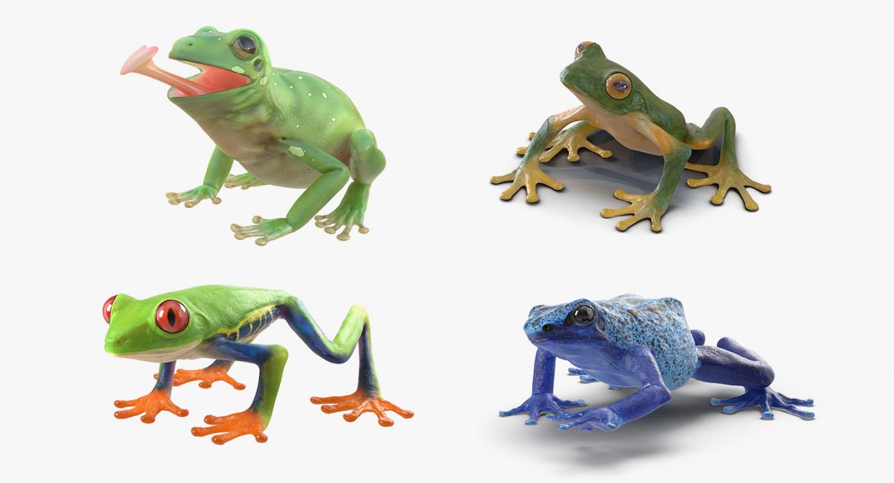 3D model Rigged Frogs Collection 2