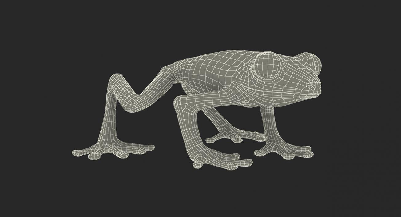 3D model Rigged Frogs Collection 2