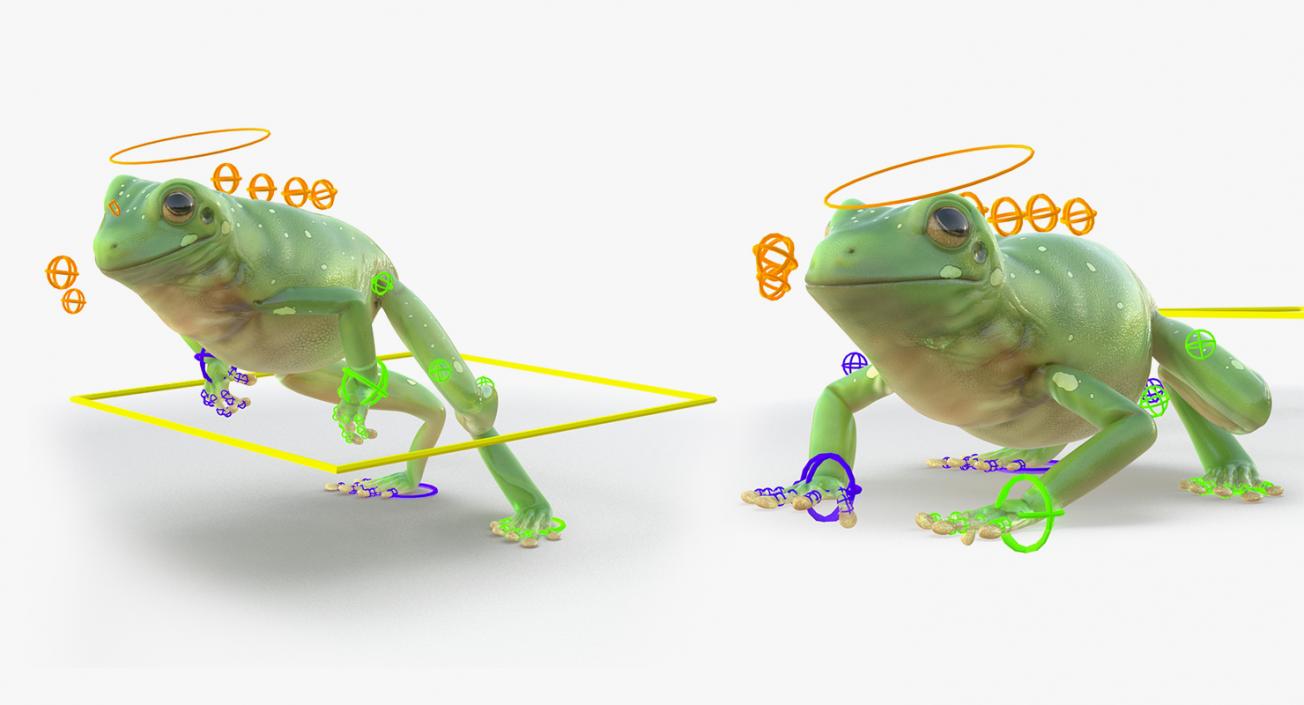 3D model Rigged Frogs Collection 2