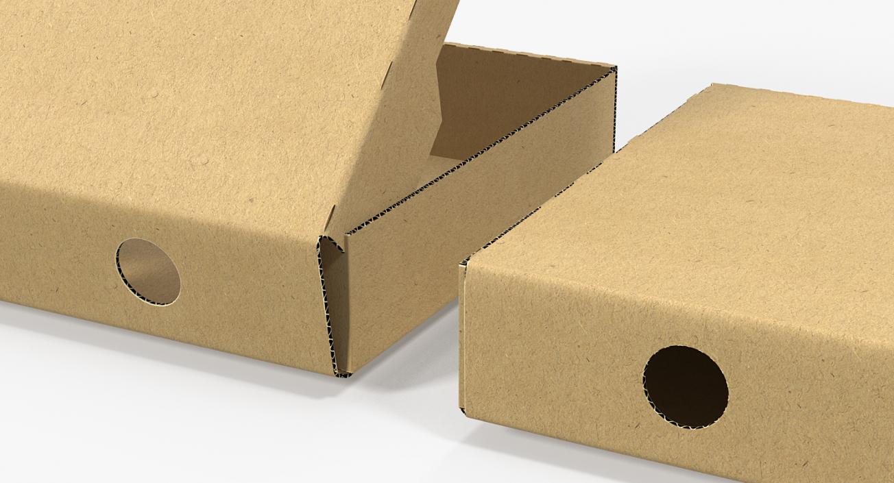 Paper Pizza Boxes 3D