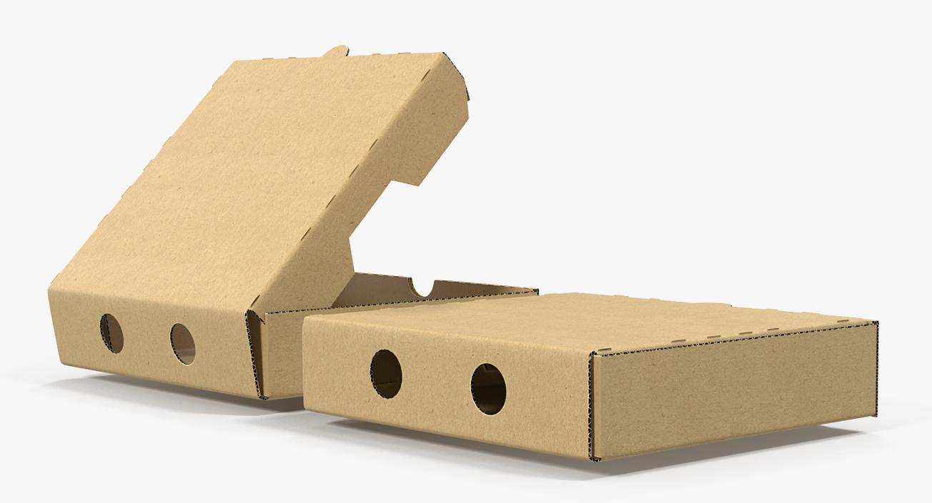 Paper Pizza Boxes 3D