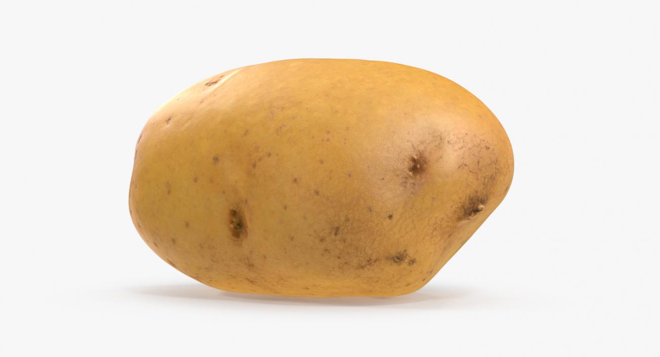 3D model Raw Potato