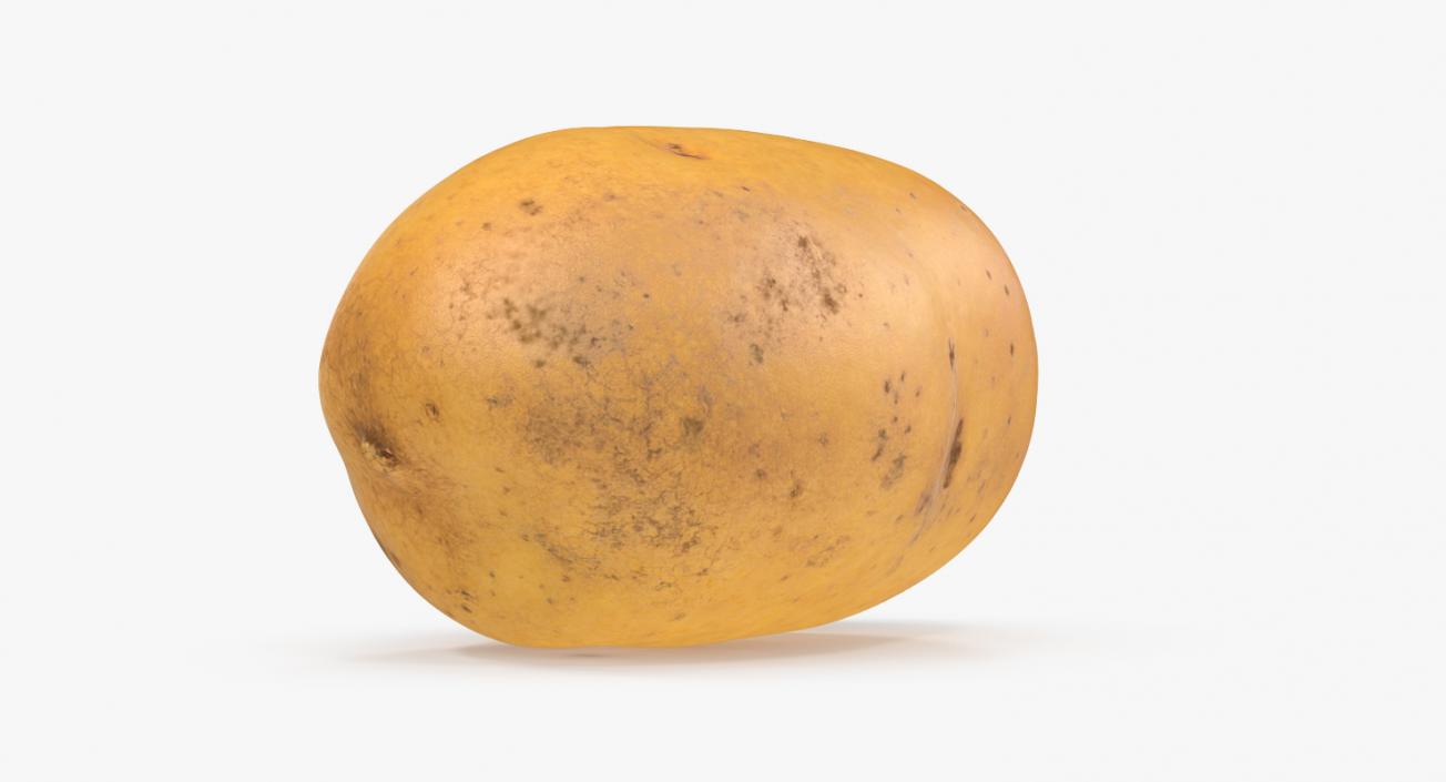 3D model Raw Potato