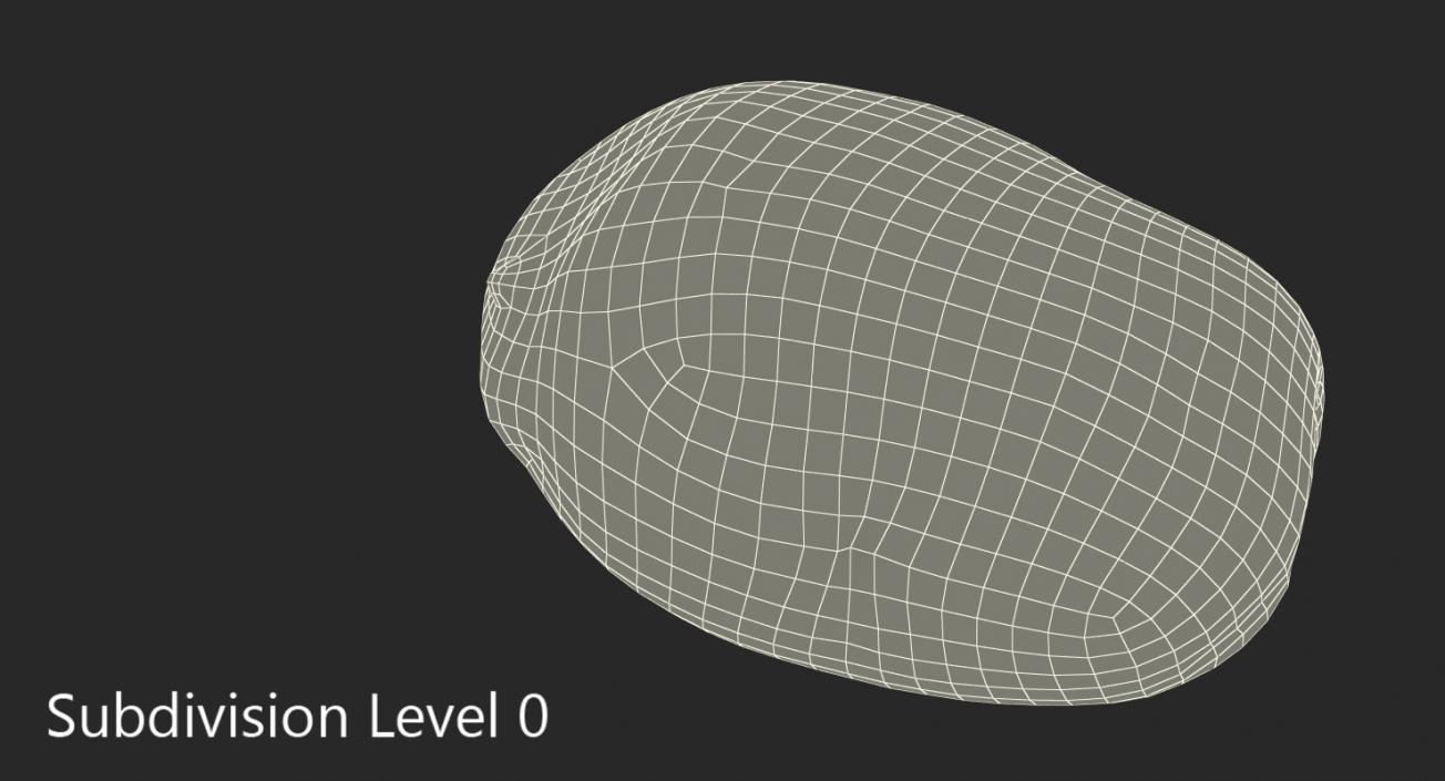 3D model Raw Potato