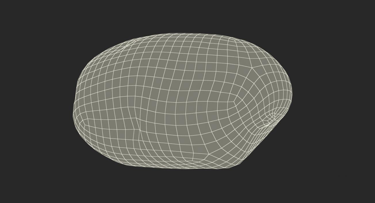 3D model Raw Potato