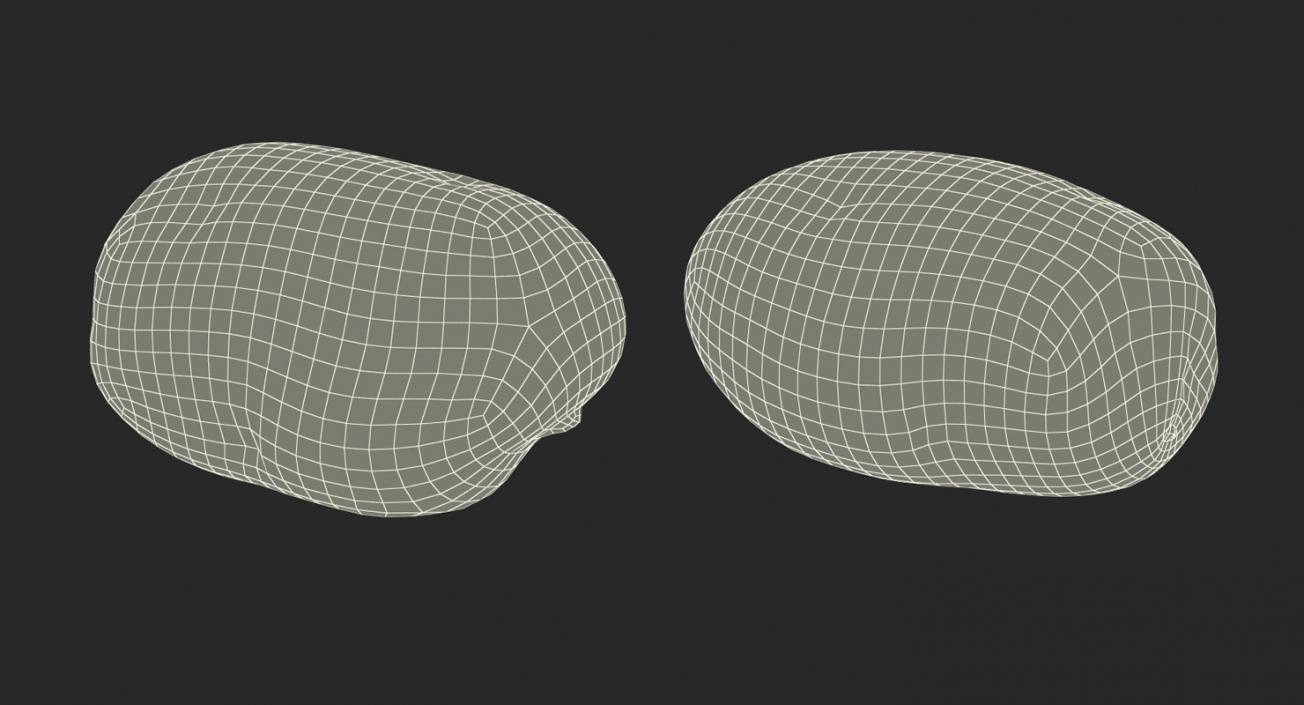 3D model Raw Potato