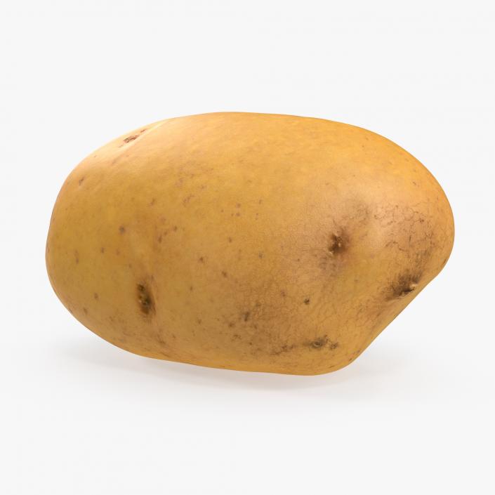 3D model Raw Potato