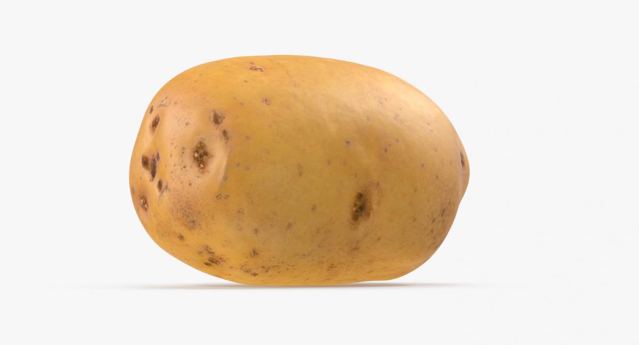 3D model Raw Potato