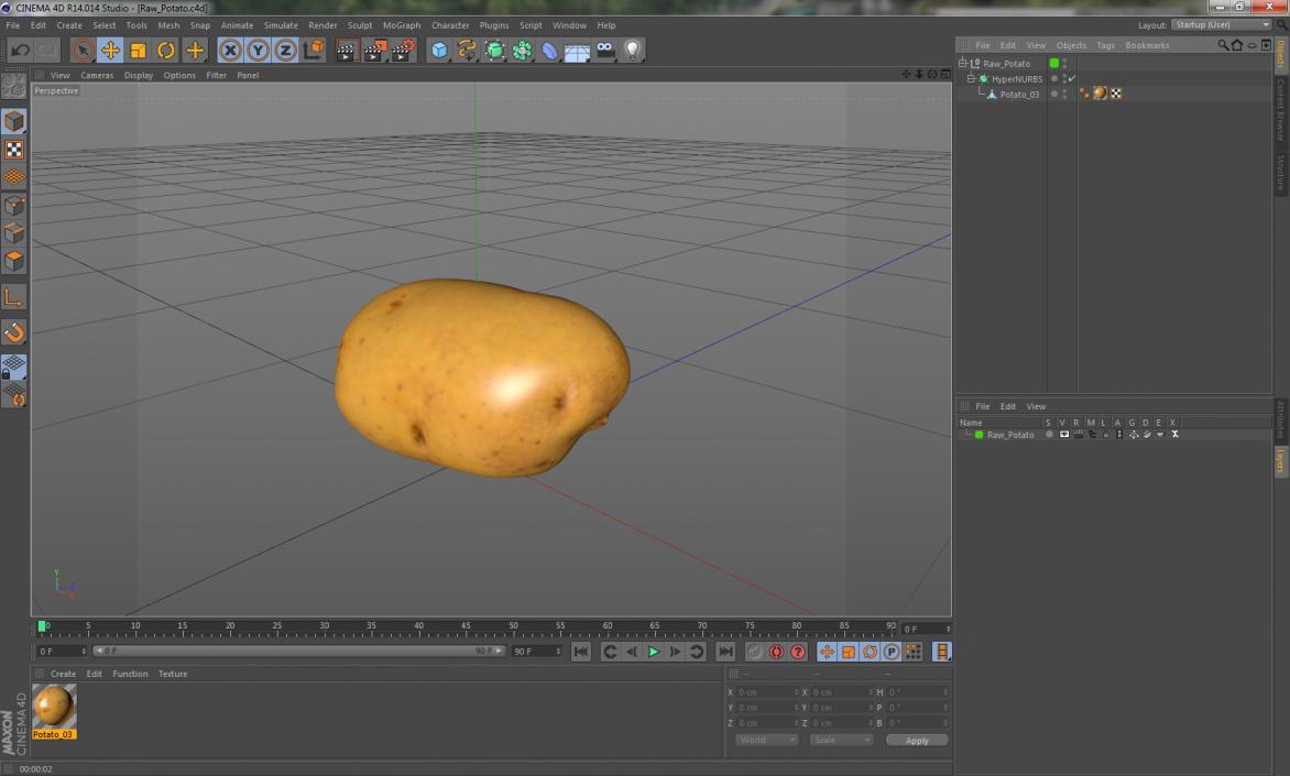 3D model Raw Potato